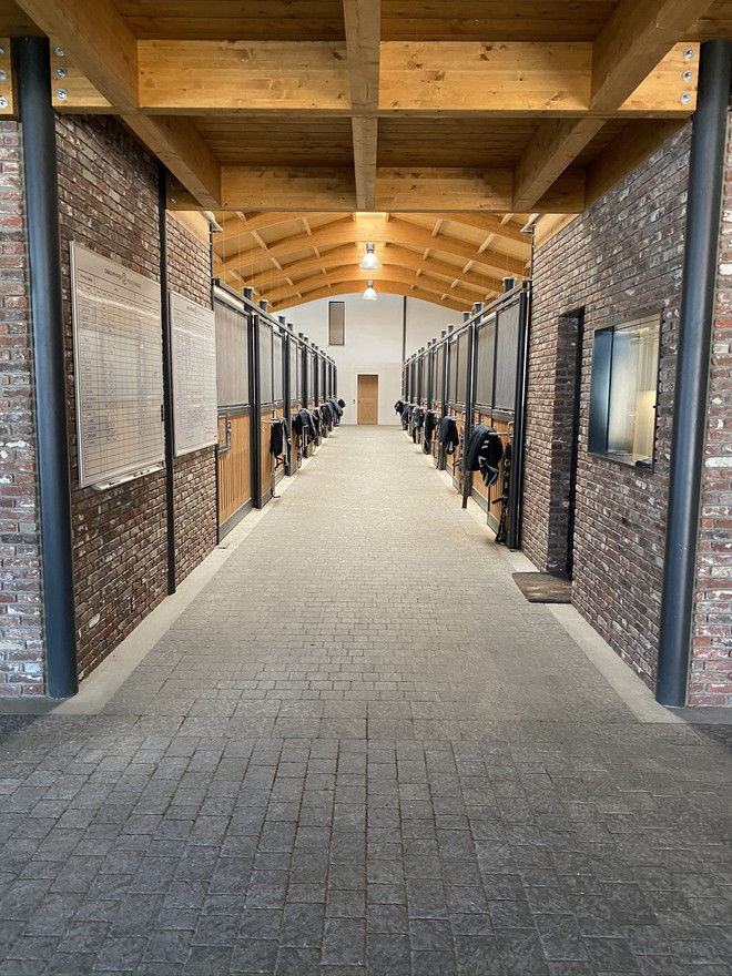 Horse boarding and training Carlo Pfyffer Horse Trading and